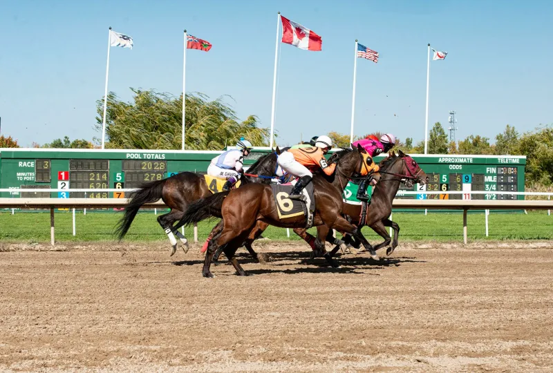 Stacking the Odds Against Yourself: The Cold Math Behind Parlay Bets